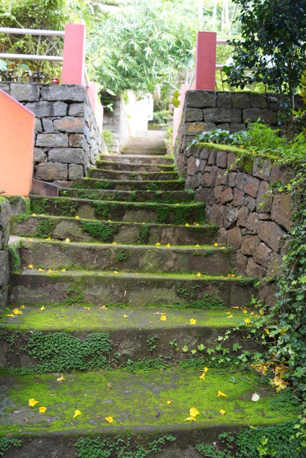 Ghar Homestay, Kotagiri Exterior foto